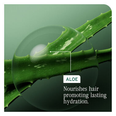 HydraSource Detangling Solution - Biolage Renovation NZ | L'Oréal Partner Shop
